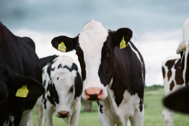 It is also cementing Ireland’s global reputation as a centre of excellence in the development of agri-tech tools and the real-world, on-farm use of those tools.