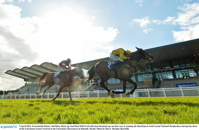 IRISH GRAND NATIONAL TIPS: Three horses worth a bet in the Fairyhouse showpiece