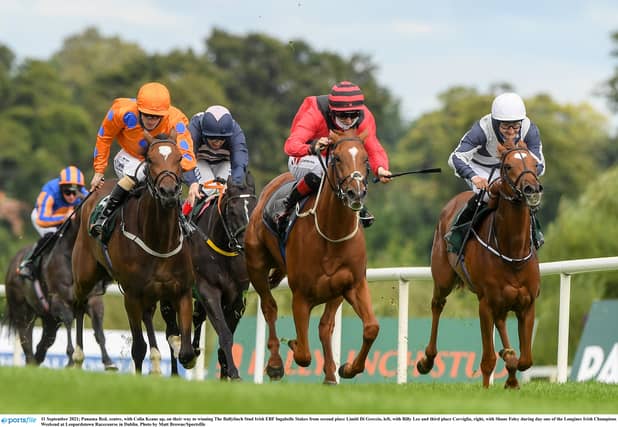 Leopardstown PIC: Sportsfile