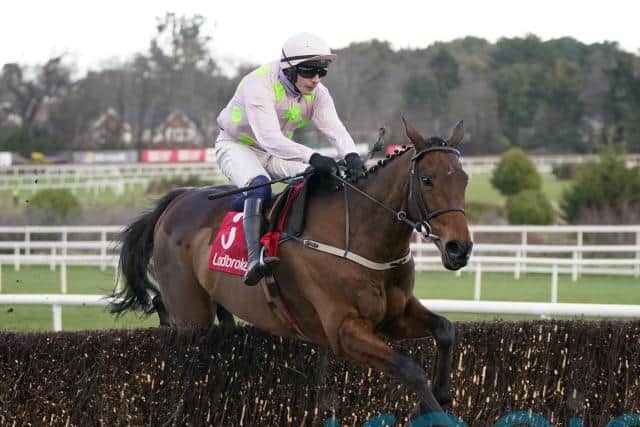 Leading hopes include Queen Mother Champion Chase contender Chacun Pour Soi, Triumph Hurdle favourite Vauban and Gaelic Warrior, who has not yet run for the Mullins team but has been heavily backed for the Boodles Juvenile Handicap Hurdle.