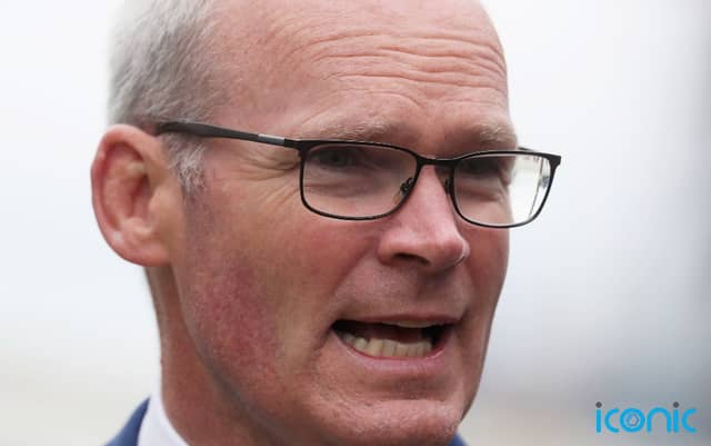 Foreign Affairs Minister Simon Coveney said there was unlikely to be enough state accommodation to cope with the number of Ukrainians expected