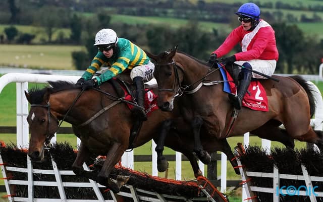 Hurdler survives last-flight blunder to take Listed prize