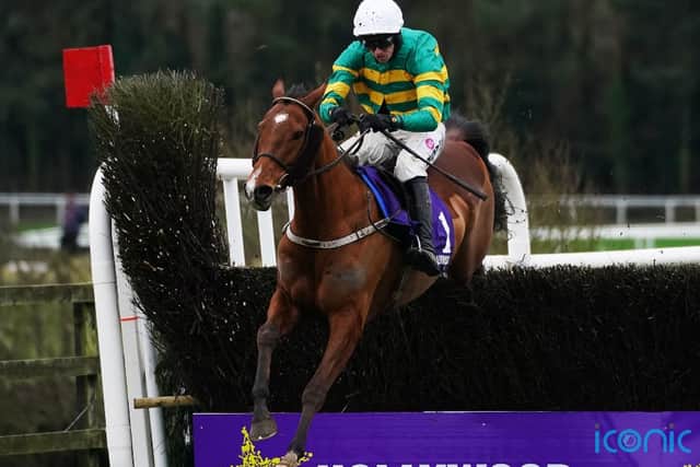 “They were fine and professional about it and their jumping was good.”