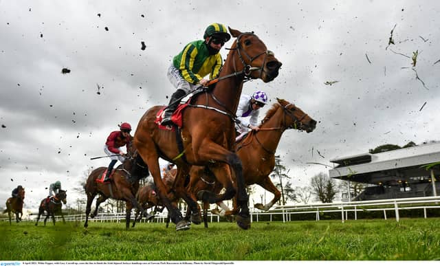 RACING: Top tips and analysis for Saturday racing at Gowran Park