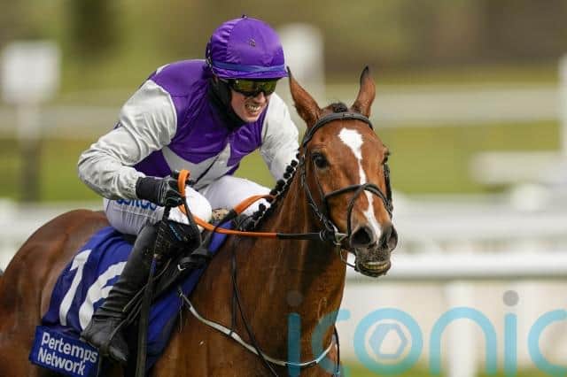 “I think he is a dour stayer and in fairness to the horse, he has a lovely attitude.”