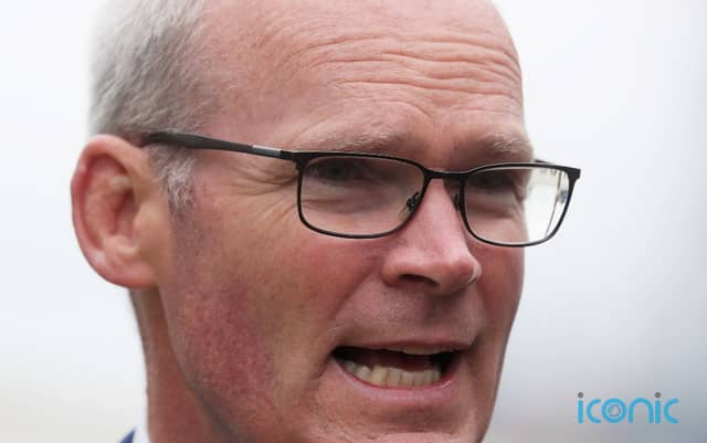 The Irish Foreign Affairs Minister said the resignation of Paul Givan on Thursday is “very unwelcome”