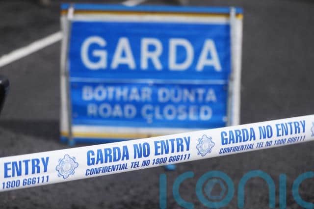 Gardai said that Mr McDonnell had been at his business premises when he tried to stop the theft of his grey Volkswagen Passat, registration number 161 OY 1861.