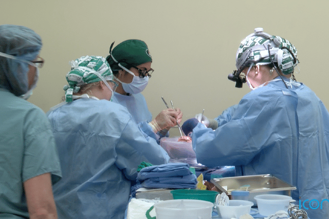 According to the study, the kidneys continued working until 74 hours later.