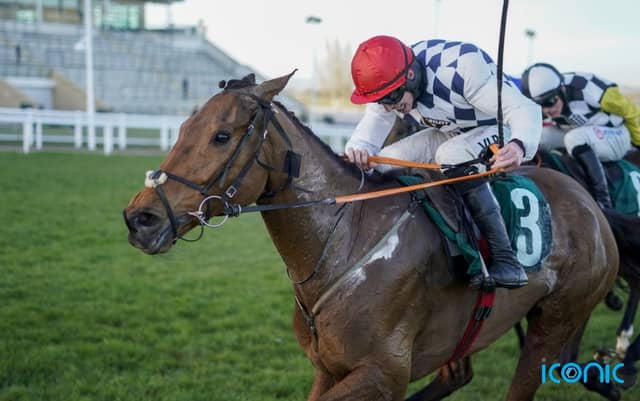 Galvin gallops to victory in Savills Chase at Leopardstown