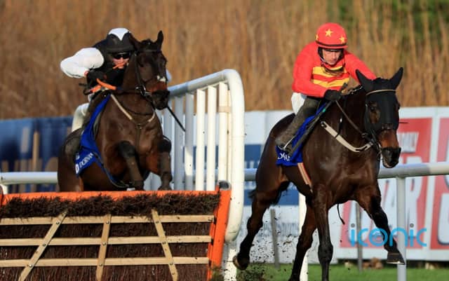 Flooring Porter still on course for Cheltenham defence after Leopardstown loss