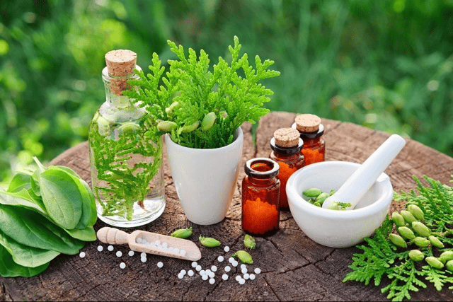 The online courses provided by the Herbal Study Academy range from longer certifiable courses to short mini multimedia course as well as courses by correspondence. All available in many different languages.