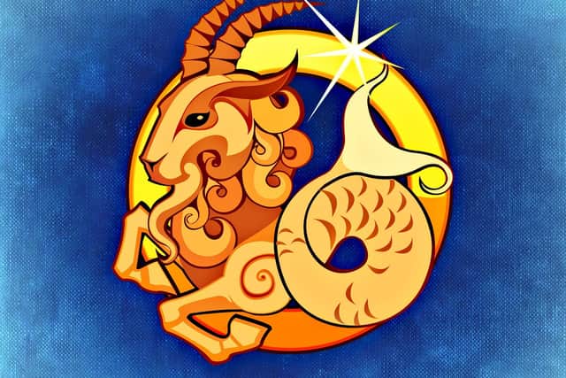 Capricorn 22 December – 20 January
