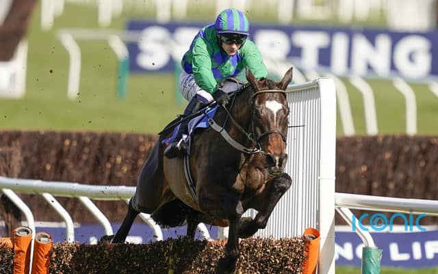 Willie Mullins reveals Appreciate It will stay over hurdles after setback