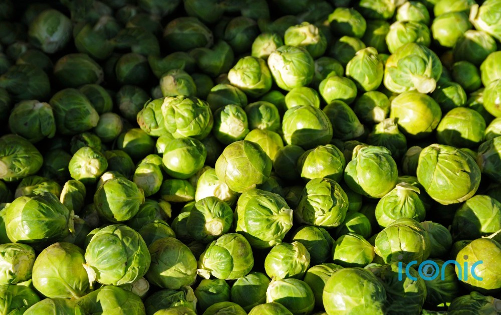 FOOD: Here's why Brussels sprouts are not just for Christmas
