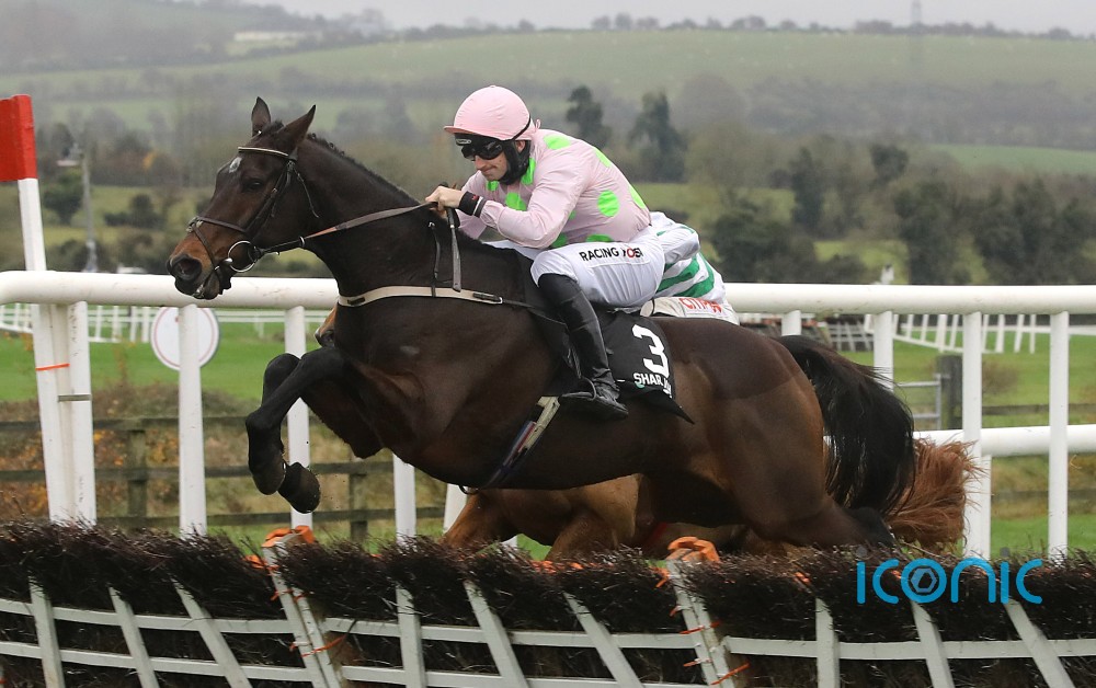 Willie Mullins star Sharjah could make history at Leopardstown this week