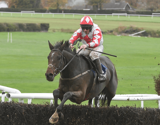 The Phillip Enright-ridden Sunnyvilla wins for trainer Donie Hassett at Clonmel on Thursday. Photo: David Keane/Racing Post