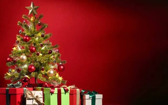 When is it acceptable to put up your Christmas tree?