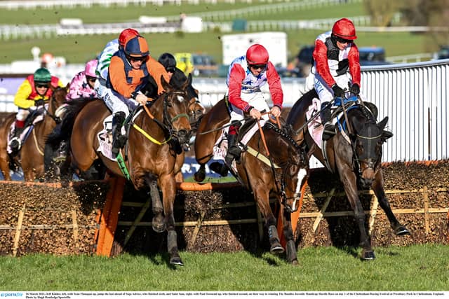 Jeff Kidder, left, with Sean Flanagan up, jump the last ahead of Sage Advice at Cheltenham in March 2021 PIC: Sportsfile