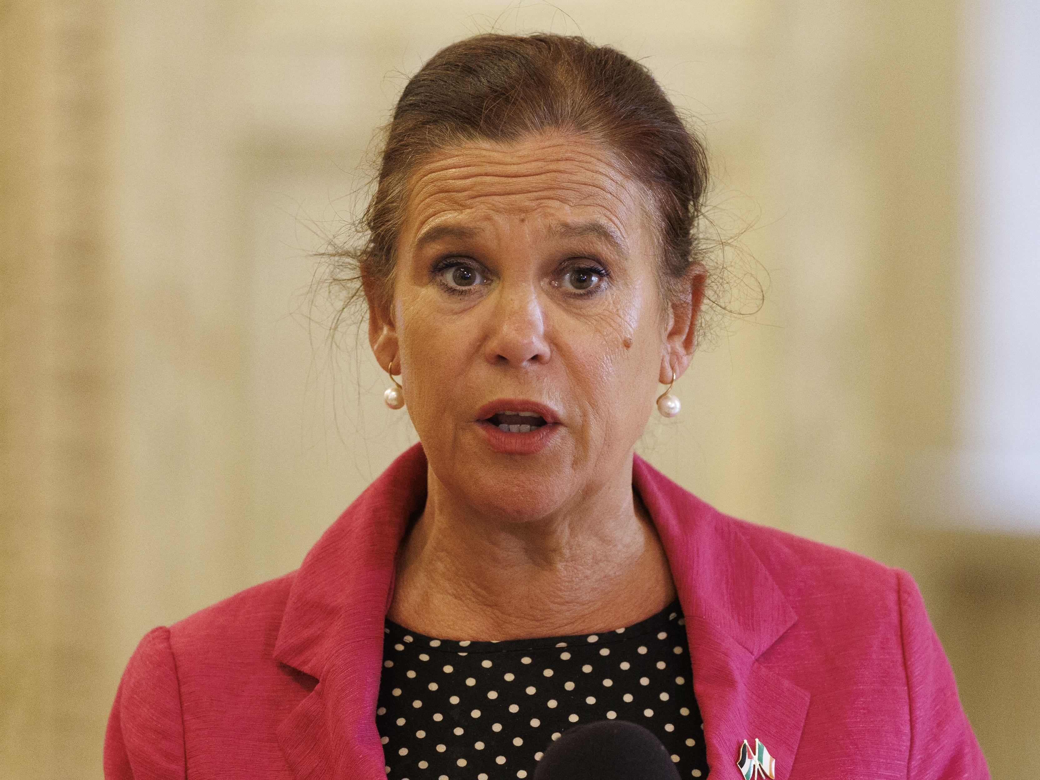 Sinn Fein leader Mary Lou McDonald