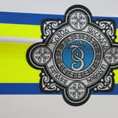 Garda badge on a police car