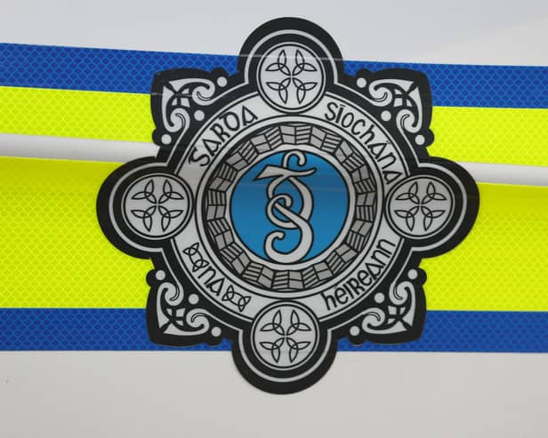 Garda badge on a police car