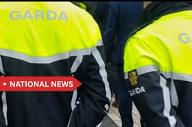 Gardaí attended the fatal Offaly incident
