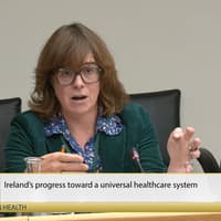 Committee hears calls for right to healthcare