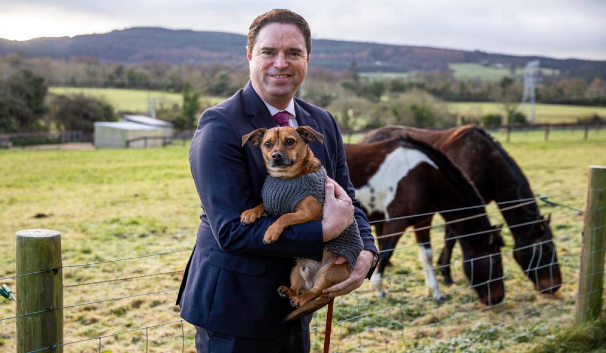 Christmas comes early for animal welfare charities in Clare amid major funding boost