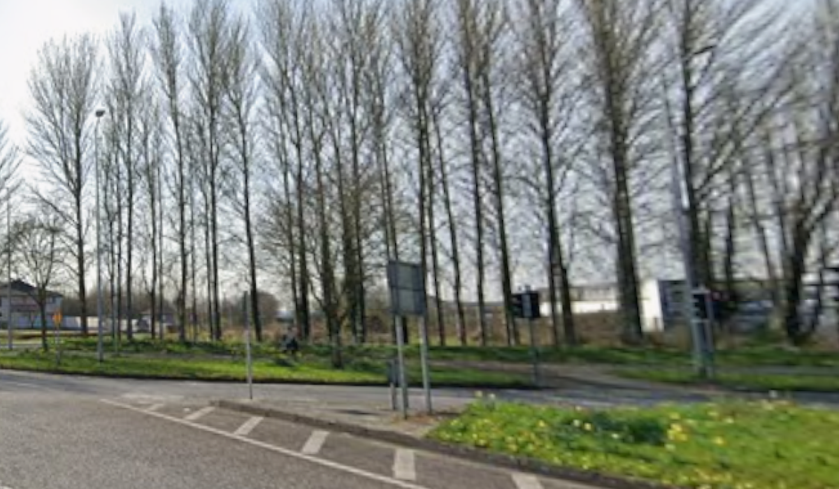 Land identified at Clare-Limerick border for park-and-rides project, Council reveals