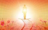 Where to go if you need support after the death of a loved one