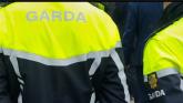 Witnesses sought following bizarre criminal damage incident on busy street in Ennis