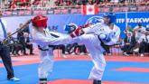 PICTURES: Clare Taekwon-Do athletes take home ten gold medals from world championships