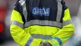 Fraud jumped in 2025 even as number of major crimes fell &ndash; gardai