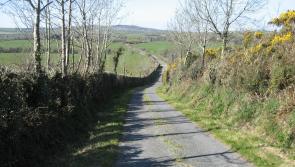 Government reminds Clare public about hedgerow cutting laws