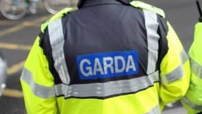 Ransacked shed in Clare home sees gardaí appeal to public 