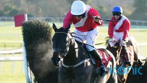 Cheltenham scorer Allaho leads home Willie Mullins 1-2-3 in John Durkan