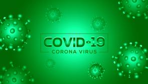 National Covid-19 daily case numbers confirmed