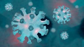 National daily Covid-19 case numbers confirmed