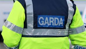 Unusual items stolen by thief from a stables on a main road in Clare