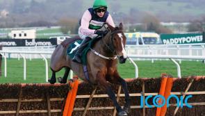 Stormy Ireland looks set for second Chentenham run
