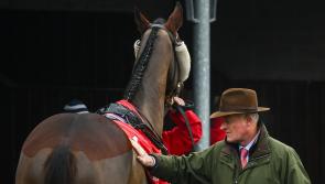 Willie Mullins announces star-studded lineup for Cheltenham