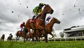 RACING: Top tips and analysis for Saturday racing at Gowran Park