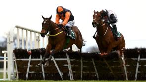 Some big market movers for Cheltenham after weekend action 