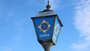 Gardaí stop two teens in stolen car with stinger device, both arrested 