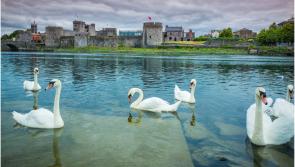 Discover Limerick - A new chapter for King John’s Castle!