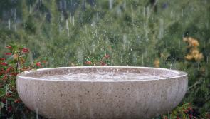 Met Éireann warns of possible disruption due to 'wet and windy' weather in Clare