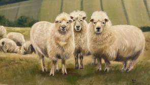 Clare Arts Office to present exhibition called Ukrainian View of Ireland