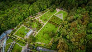 RTÉ programme to feature Clare sites