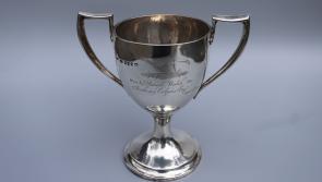 Clare Museum launch new website 