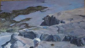 Clare Museum presents 'wonderful' exhibition of oil paintings